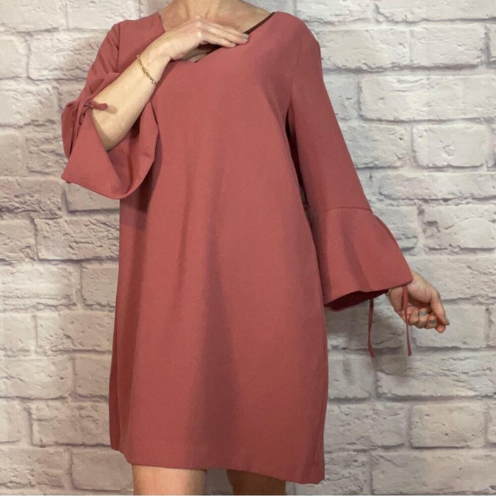 H&M Minimalist Rose Mini Dress with V-Neck and Ruffle Sleeves